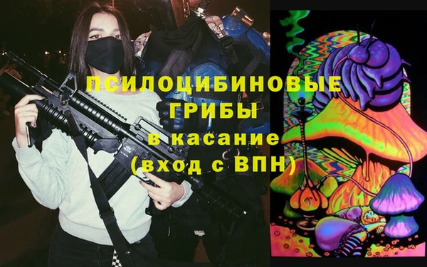 эйфоретик Арсеньев