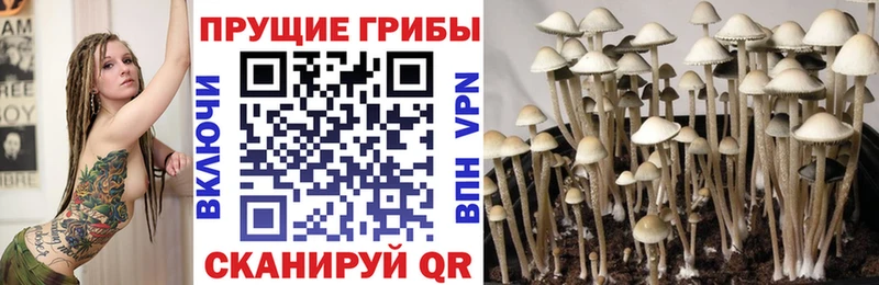 Галлюциногенные грибы Magic Shrooms  Ельня 